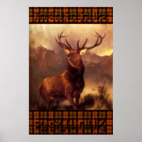 The Highlands Scotland - The Scottish Stag