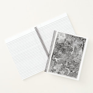 The Hinterland Notebook