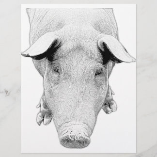 The Hog in Black and White