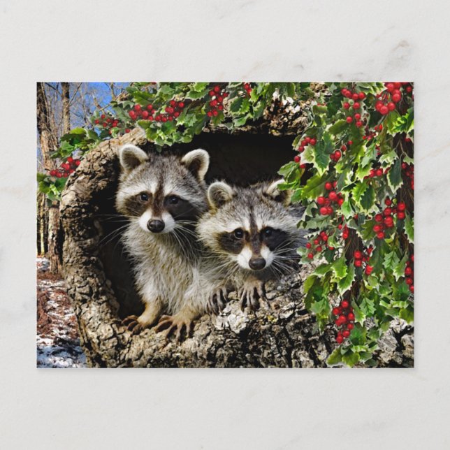 "The Holly Berry Twins" Postcard (Front)