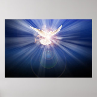 the holy ghost in light poster
