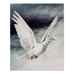 The holy spirit in the form of a Dove Poster