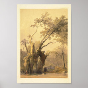 The holy tree, Metereah Poster