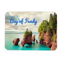 The Hopewell Rocks Bay of Fundy Canada stylized