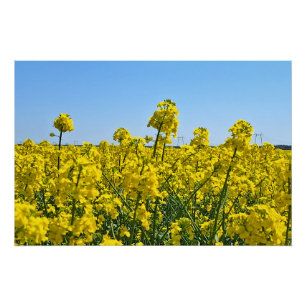 The Horizon Line - Colours of Wild Nature Romania Poster