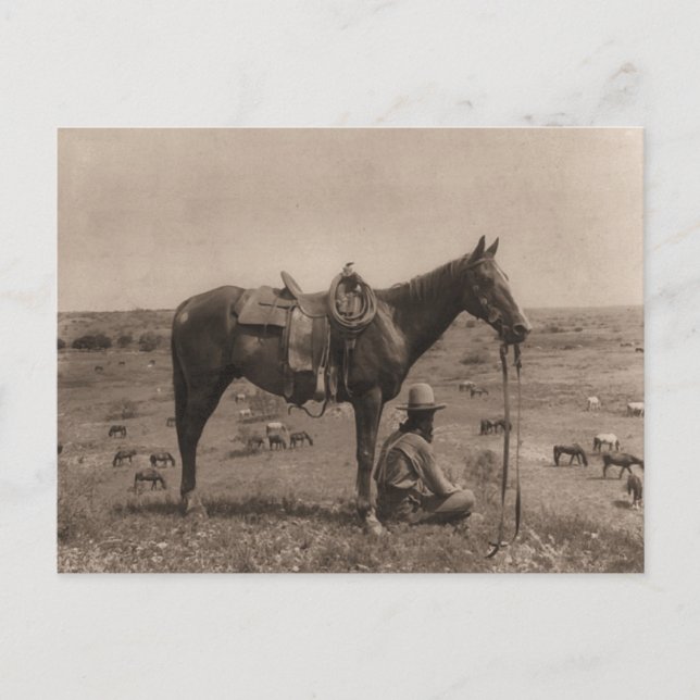 The Horse Wrangler 1910 Postcard (Front)