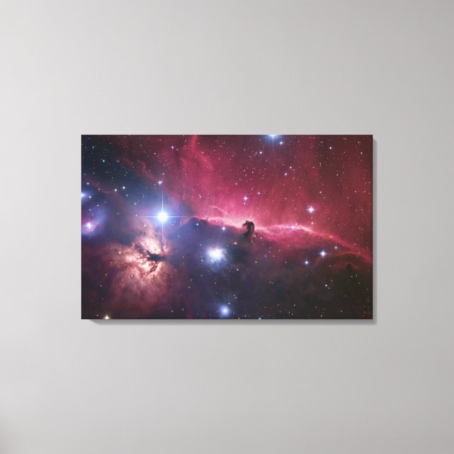 The Horsehead Nebula region (Barnard33) Canvas Print (Front)