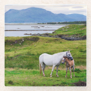 The Horses of Connemara   Galway, Ireland Glass Coaster