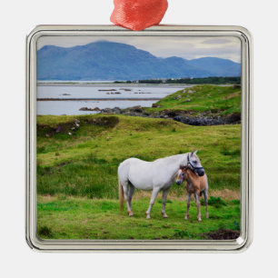 The Horses of Connemara   Galway, Ireland Metal Ornament