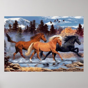 The Horses Whisperer Poster