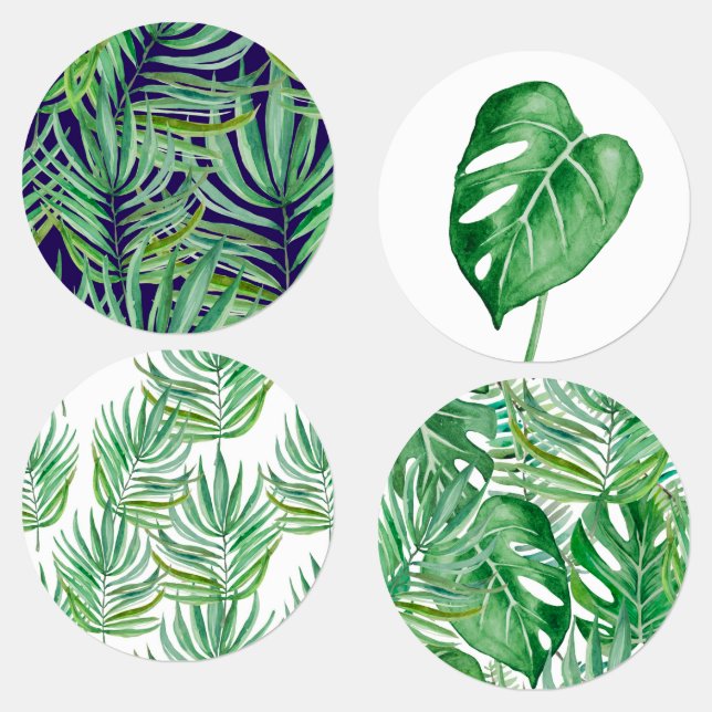 The huge leaves of palm trees and monstera (Group)