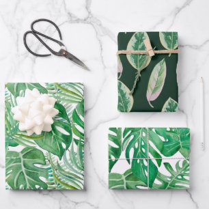 The huge leaves of palm trees and monstera wrapping paper sheet