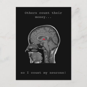 The Human Brain - Postcard