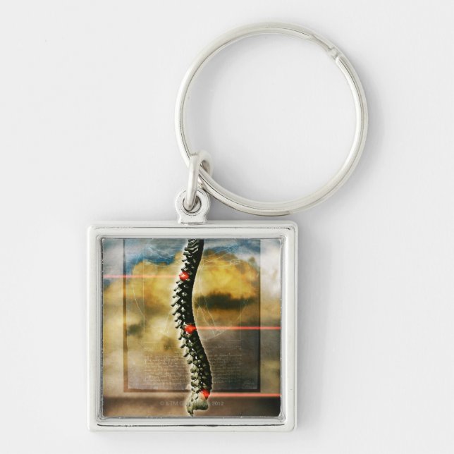 The human spine keychain (Front)