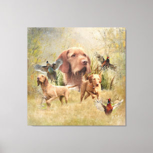 The Hungarian Wirehaired Vizsla  Canvas Print