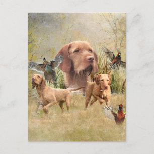 The Hungarian Wirehaired Vizsla  Holiday Postcard