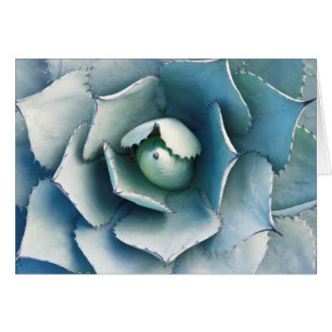 The Huntington Botanical Garden