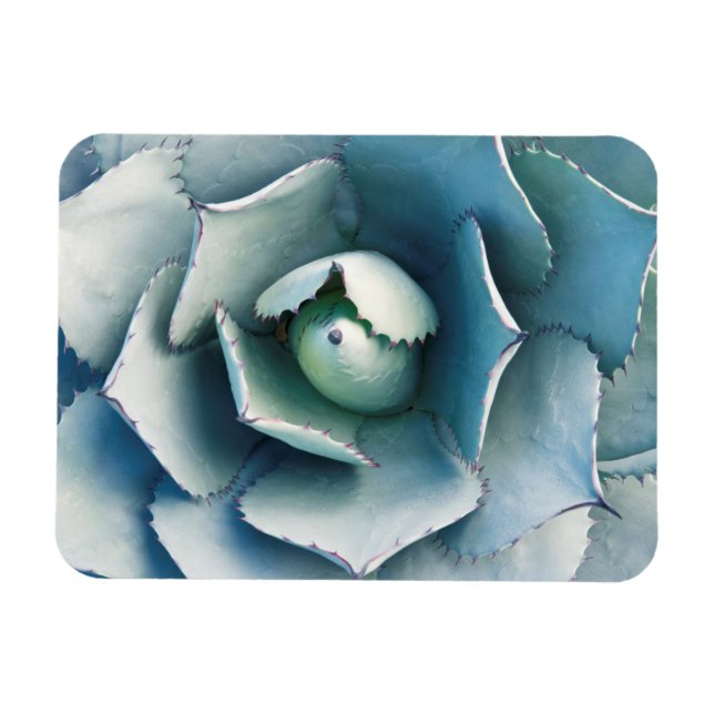 The Huntington Botanical Garden Magnet (Horizontal)