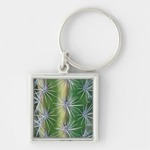 The Huntington Botanical Garden, Octopus Cactus Keychain