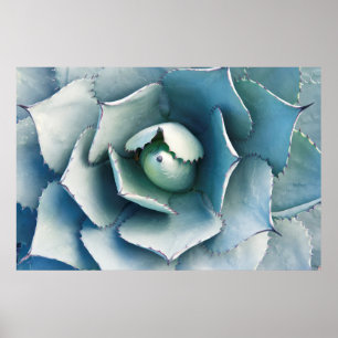 The Huntington Botanical Garden Poster