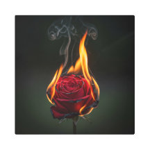 The image of a burning rose is full of meaning