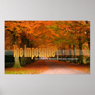 The Impossible Motivational Poster