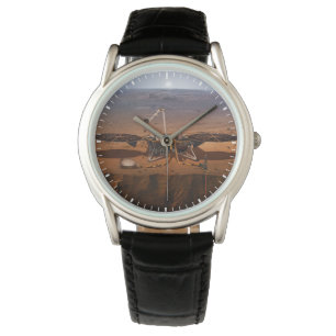 The Insight Lander Watch