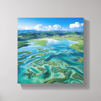 The Intricate Water Network of Tibet Canvas Print