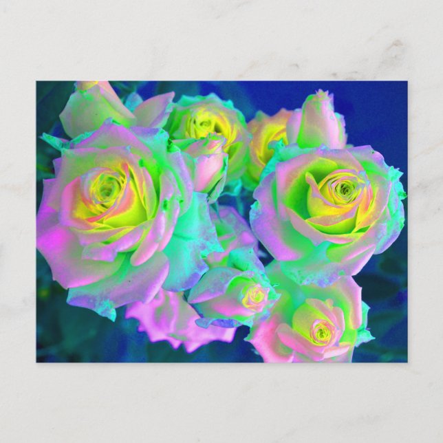 The Iridescent Pearly Roses Postcard (Front)