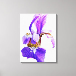 THE IRIS POSTER CANVAS PRINT