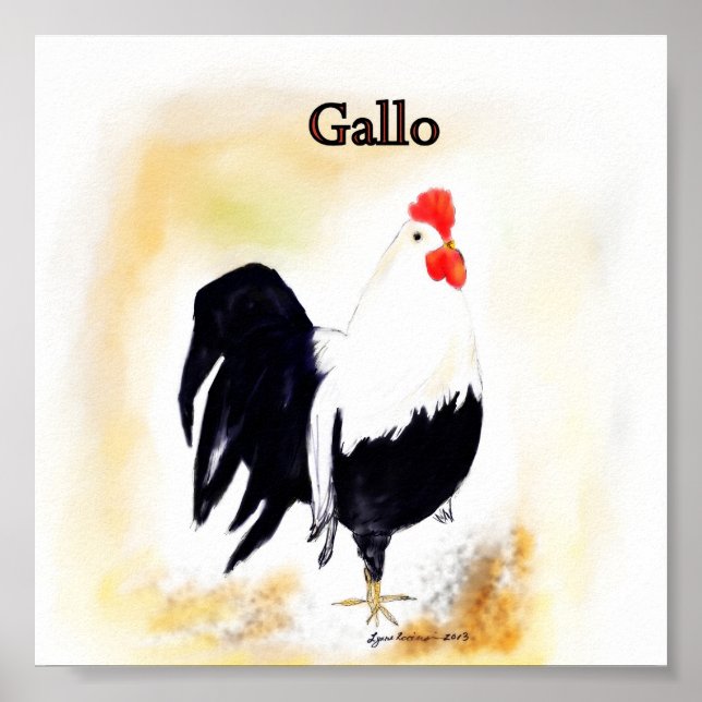 The Italian Rooster Gallo Poster (Front)