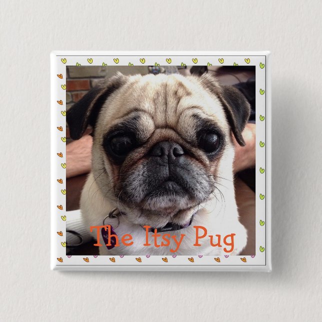 The Itsy Pug button (Front)