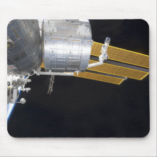 The Japanese Kibo complex 2 Mouse Pad