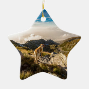 The journey ceramic ornament