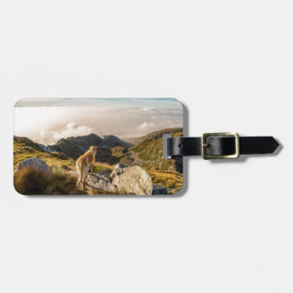 The journey luggage tag