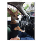 The Journey of Life Dog - Greeting Card