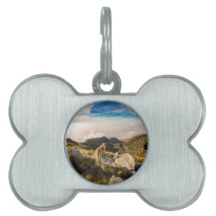 The journey pet ID tag