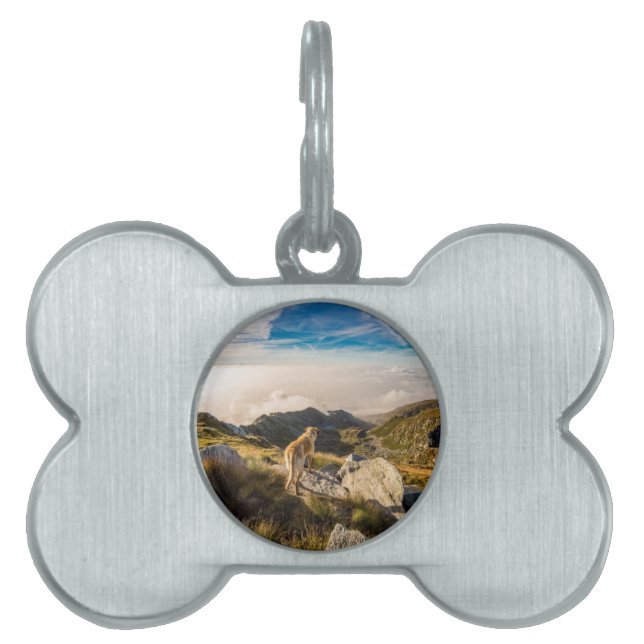 The journey pet ID tag (Front)