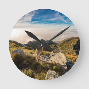 The journey round clock