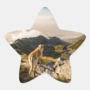 The journey star sticker
