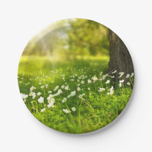 The Joys of Spring Paper Plate