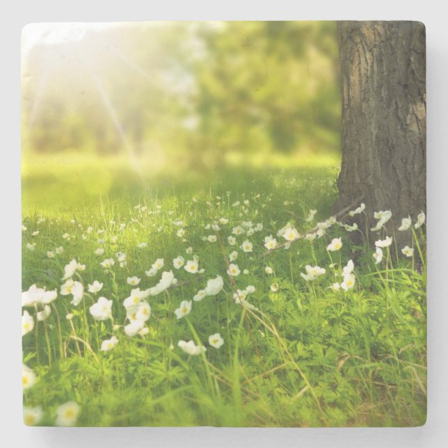 The Joys of Spring Stone Coaster (Front)