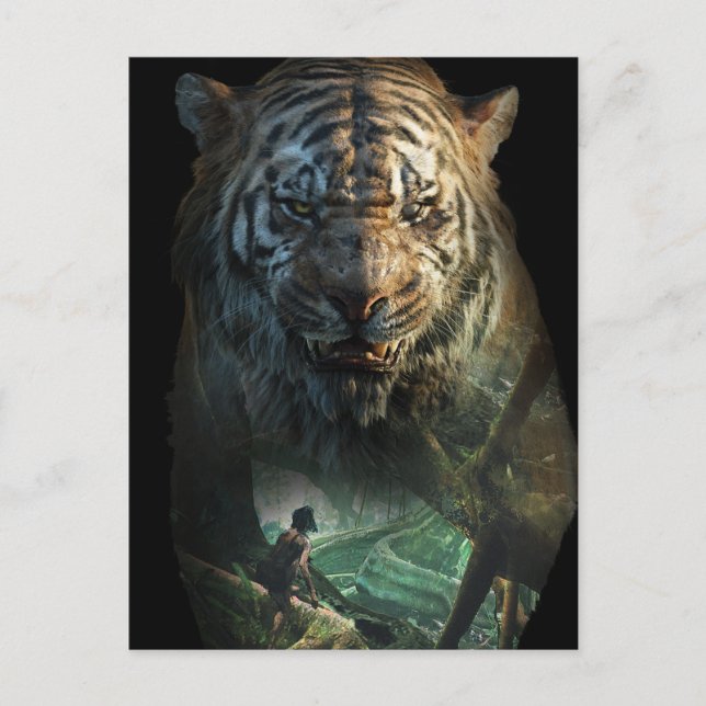 The Jungle Book | Shere Khan & Mowgli Postcard (Front)