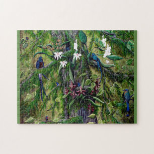 The Jungle of Guatemala Puzzle