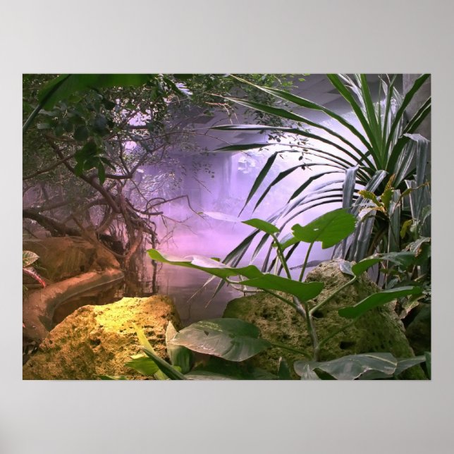 The Jungle Poster (Front)