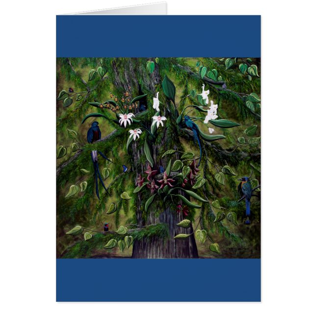 The Jungles of Tikal (Front)