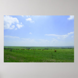 The Kansas Landscape Poster