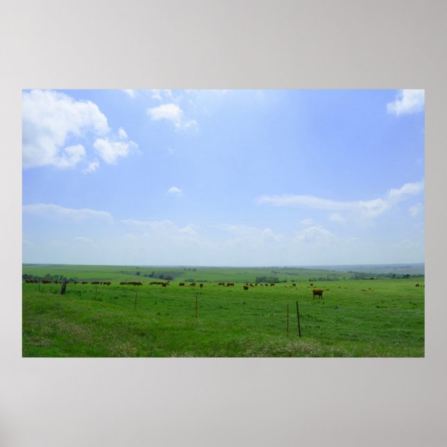 The Kansas Landscape Poster (Front)
