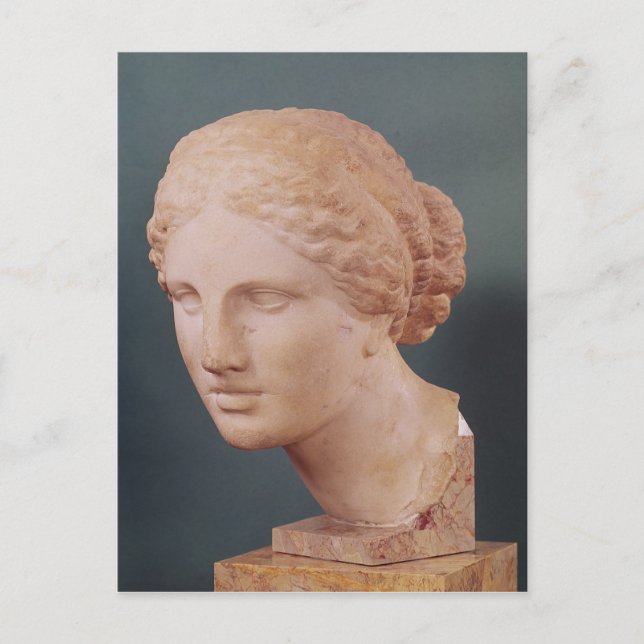 The Kauffmann Head, Head of Aphrodite Postcard (Front)