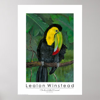 The Keel-billed Toucan Poster